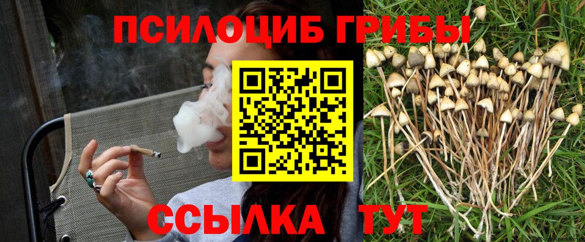 Краснодар  магазин продажи наркотиков  Вход с VPN  Галлюциногенные грибы прущие грибы 