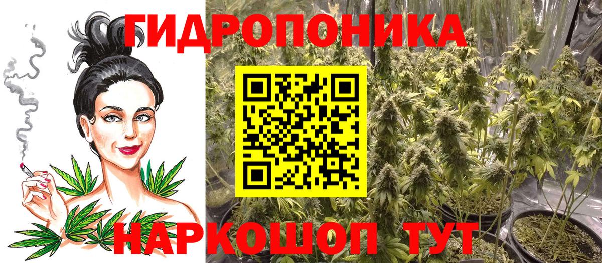 Бошки марихуана OG Kush  Бошки марихуана индика  МАРИХУАНА марихуана  Краснодар  Вход с VPN 